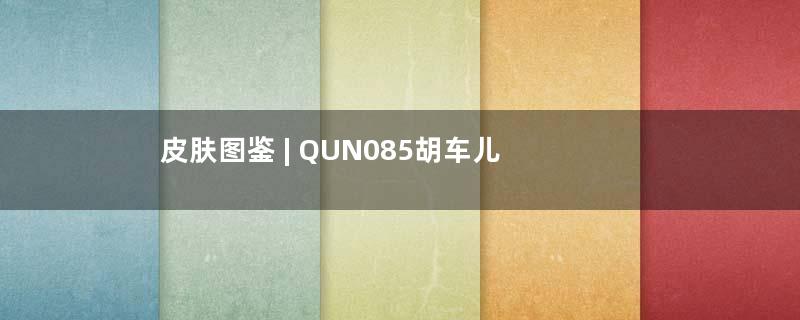 皮肤图鉴 | QUN085胡车儿